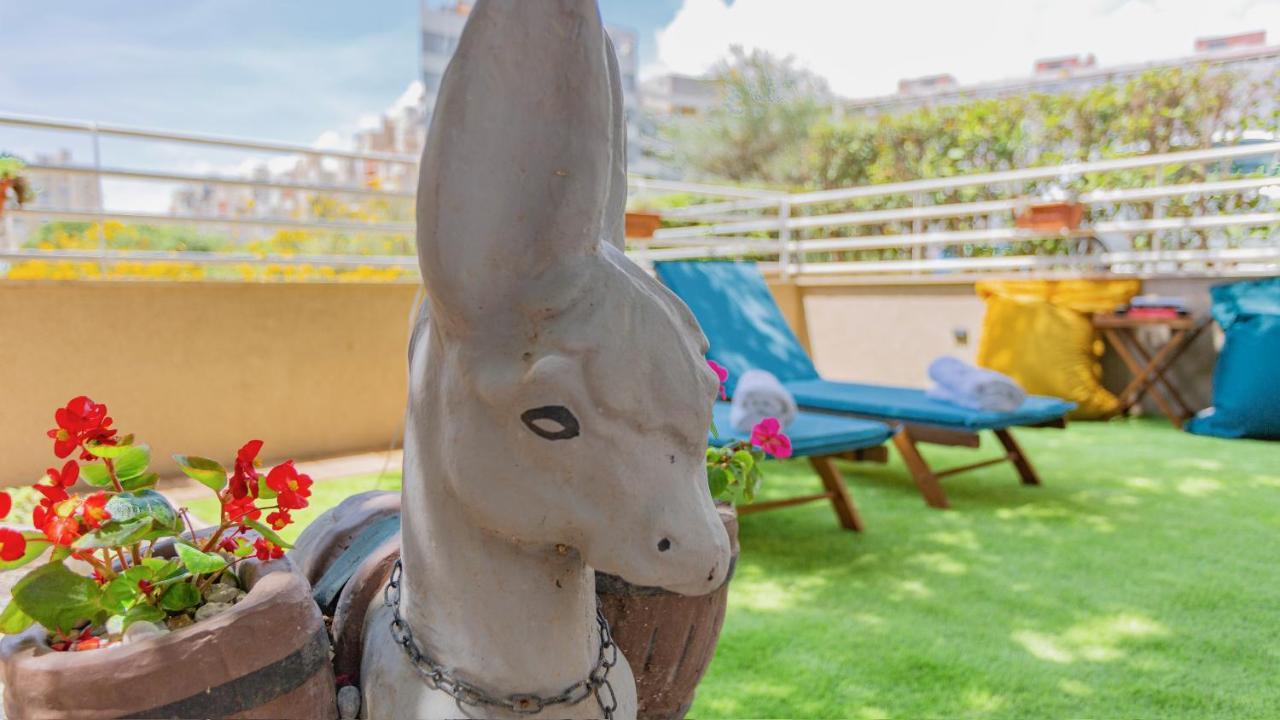 New Delux Green Garden Apartment With Hotube **** Σπλιτ Εξωτερικό φωτογραφία